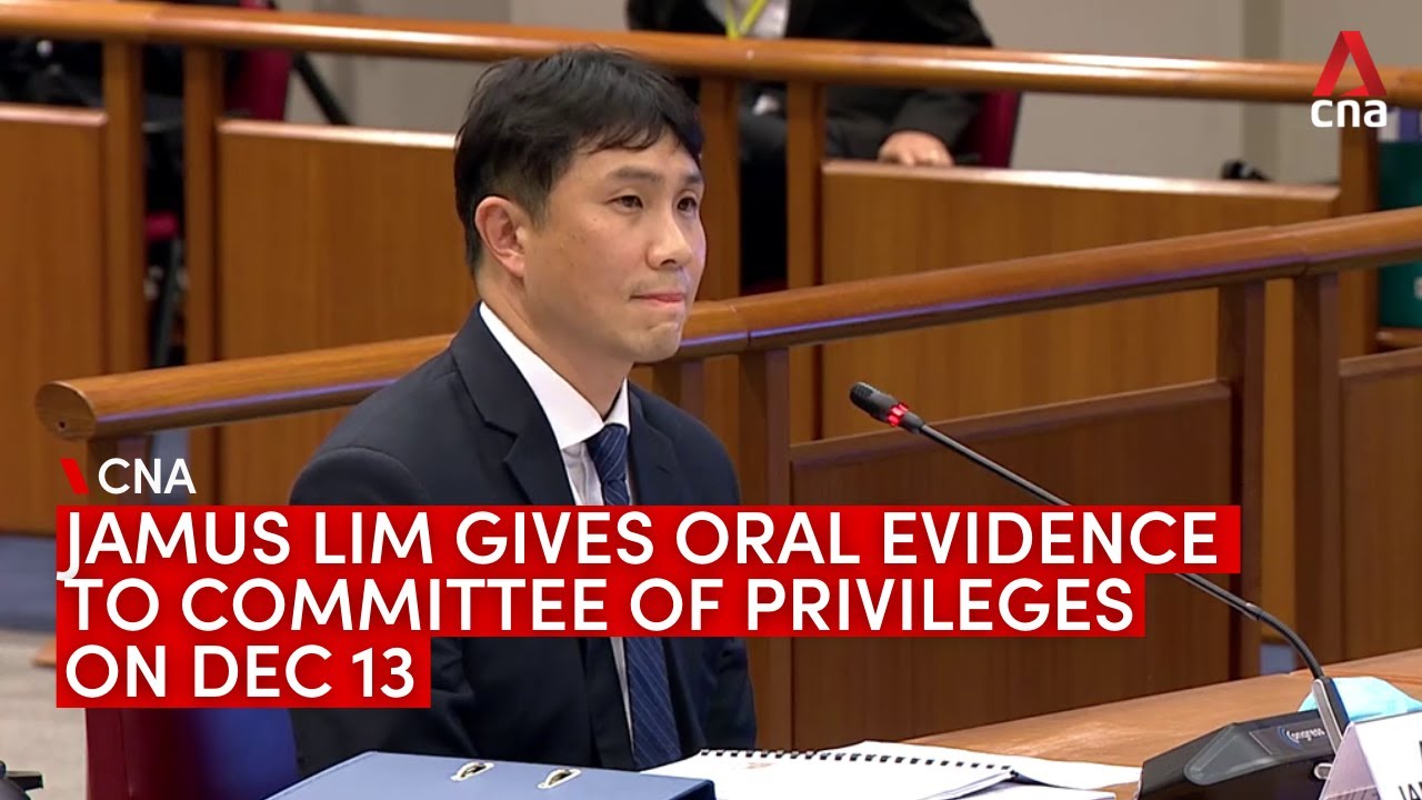 Workers' Party's Jamus Lim testifies at Committee of Privileges hearing on Raeesah Khan