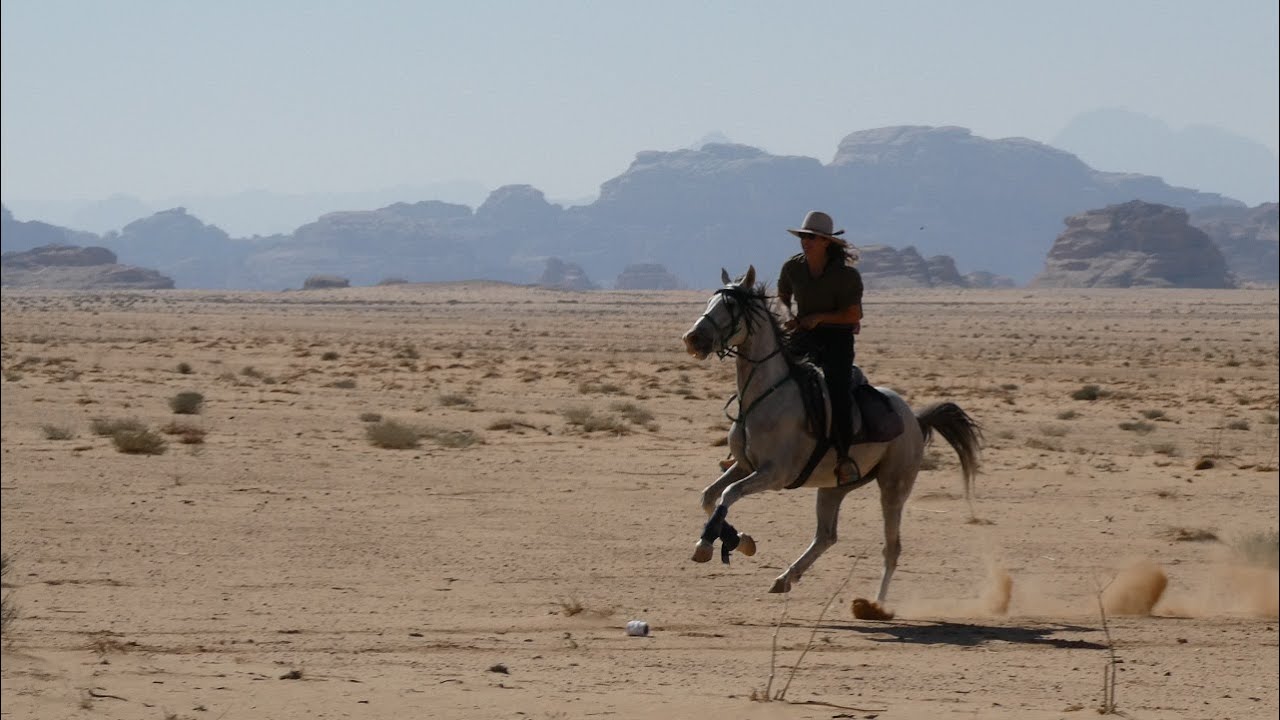 From Petra to Wadi Rum on horseback (Jordan)