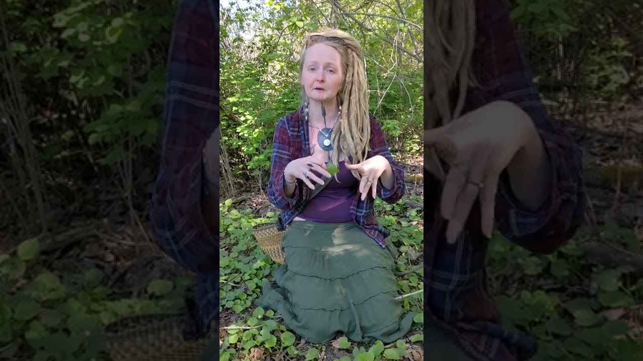 Let's meet violet in the wild!