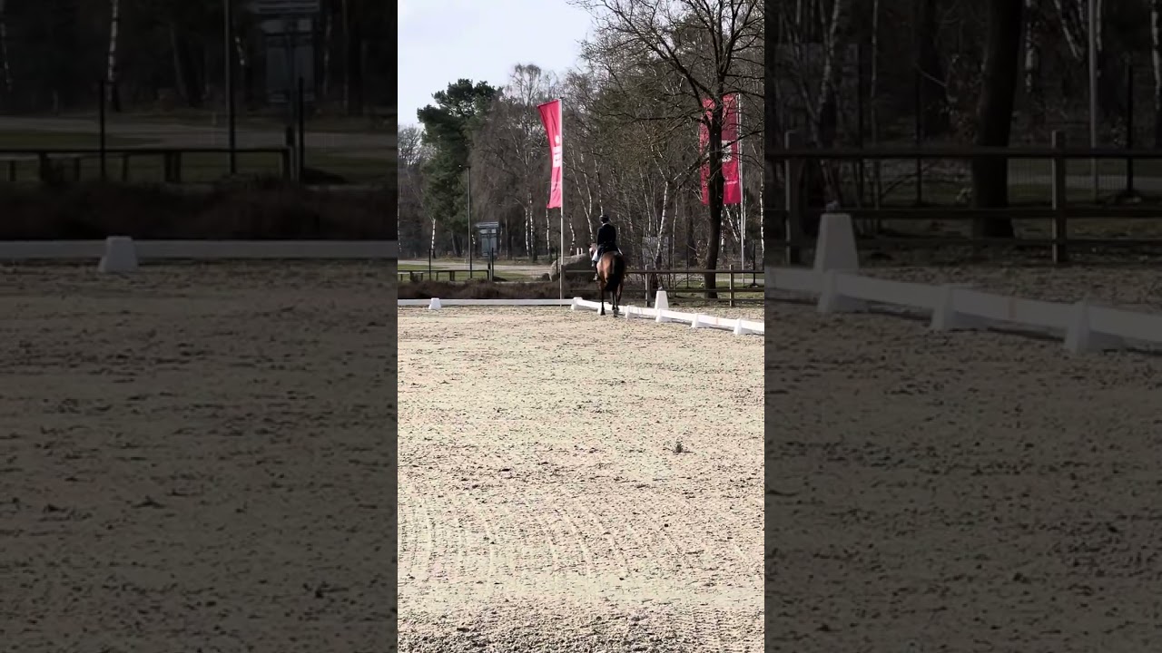 Luhmuhlen CCI3*-S with Eppo test A