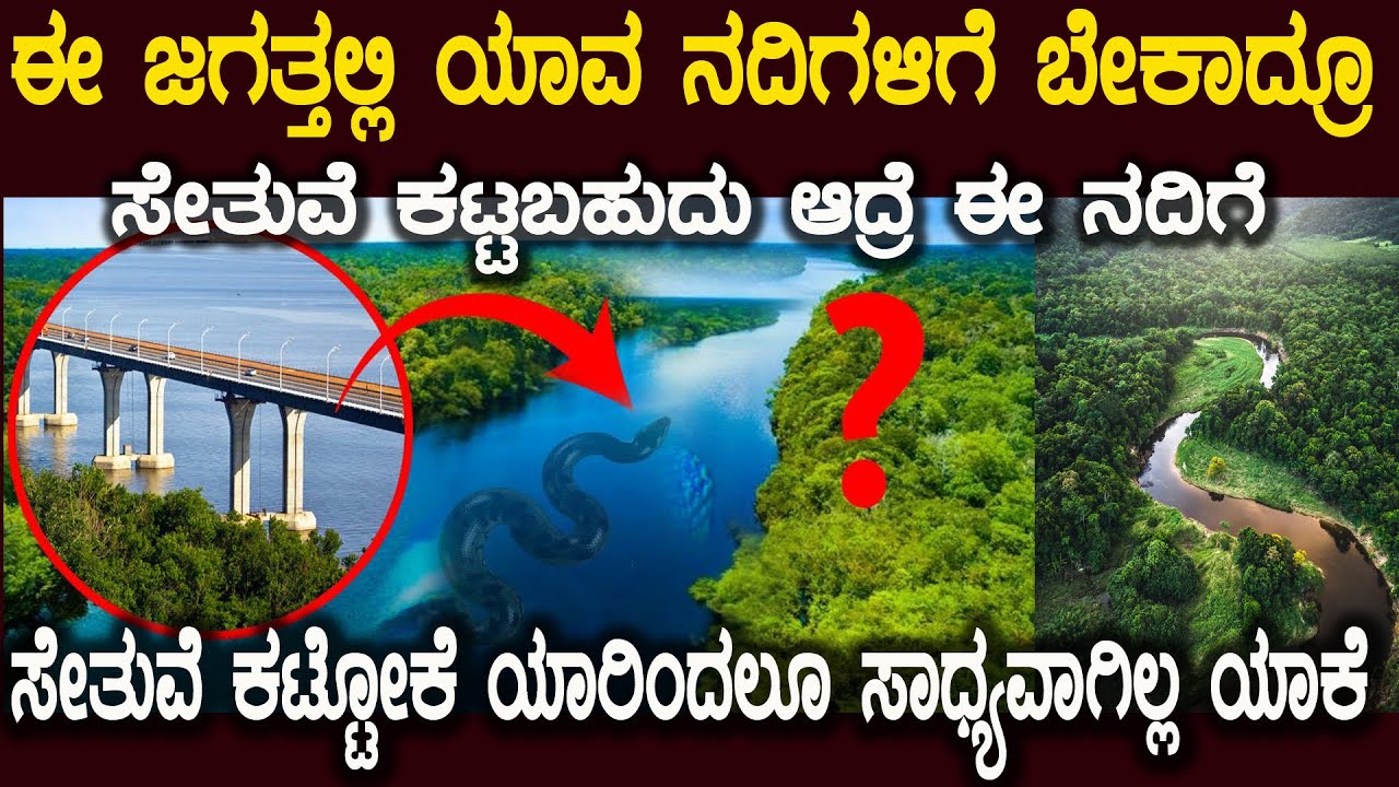 ಈ ನದಿಗೆ ಸೇತುವೆ ನಿರ್ಮಿಸುವ ದೇಶ ಈ ಜಗತ್ತಲ್ಲೇ ಇಲ್ಲ ಯಾವುದು ಈ ನದಿ ಕಾರಣ ಏನು Why Amazon River Has No Bridge