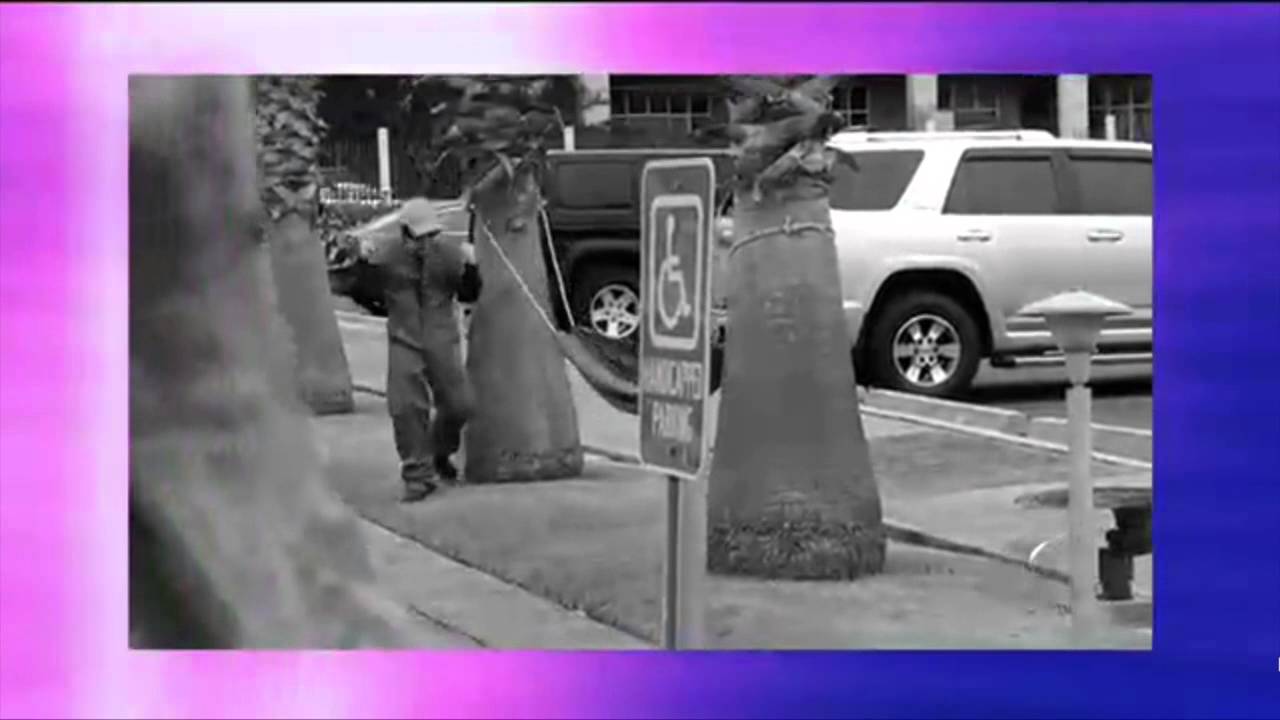 Reymond y sus Amigos / Gato Encerrado (12-5-15)