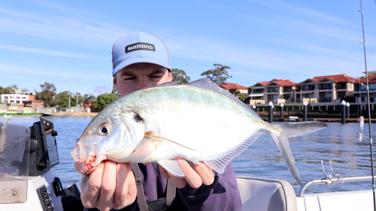 It is  that time of year again !!! || Bread and butter fishing in the parramatta river !!!||
