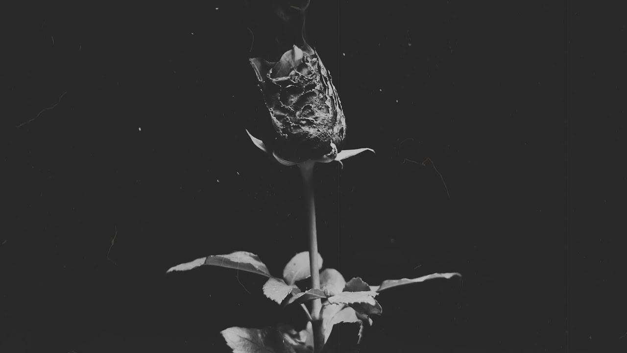 KOZMA Feat. Hegedűs Bori - Két szív (Official Music Video)