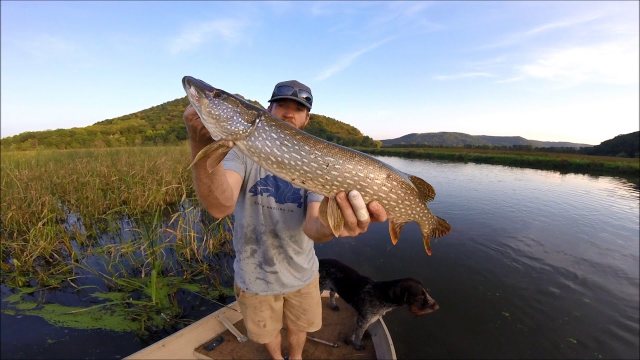 Bass Fishing Trempealeau River Part 1 - Angler X