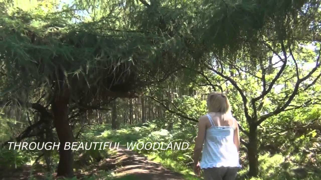 PONTESFORD HILL and EARL'S HILL.( sleeping dragon)