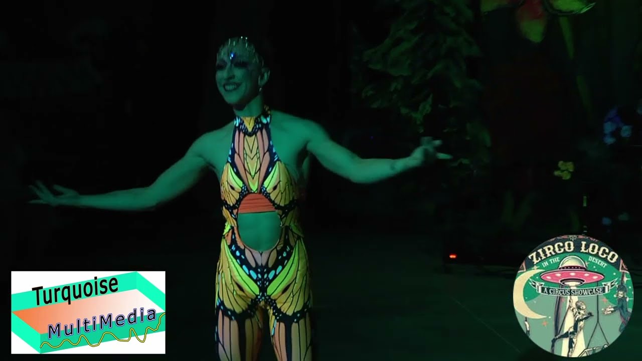 Zirco Loco, Skyttle, Ladino Song