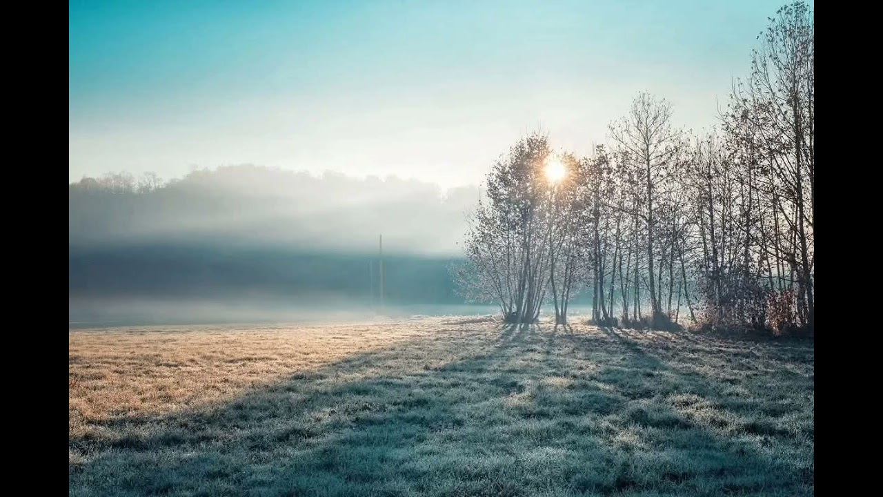 Сріблястий іній...