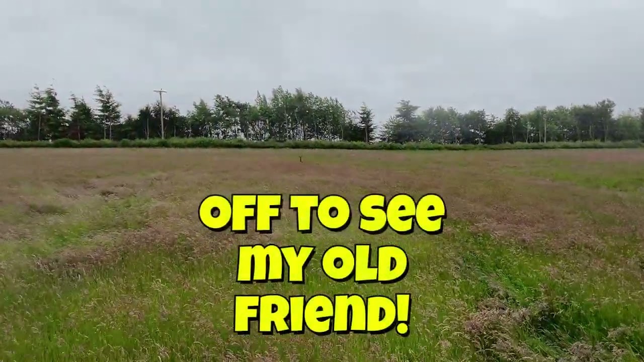 Drone Captures Incredible Deer Encounter! (Newborn Fawn & Mum)