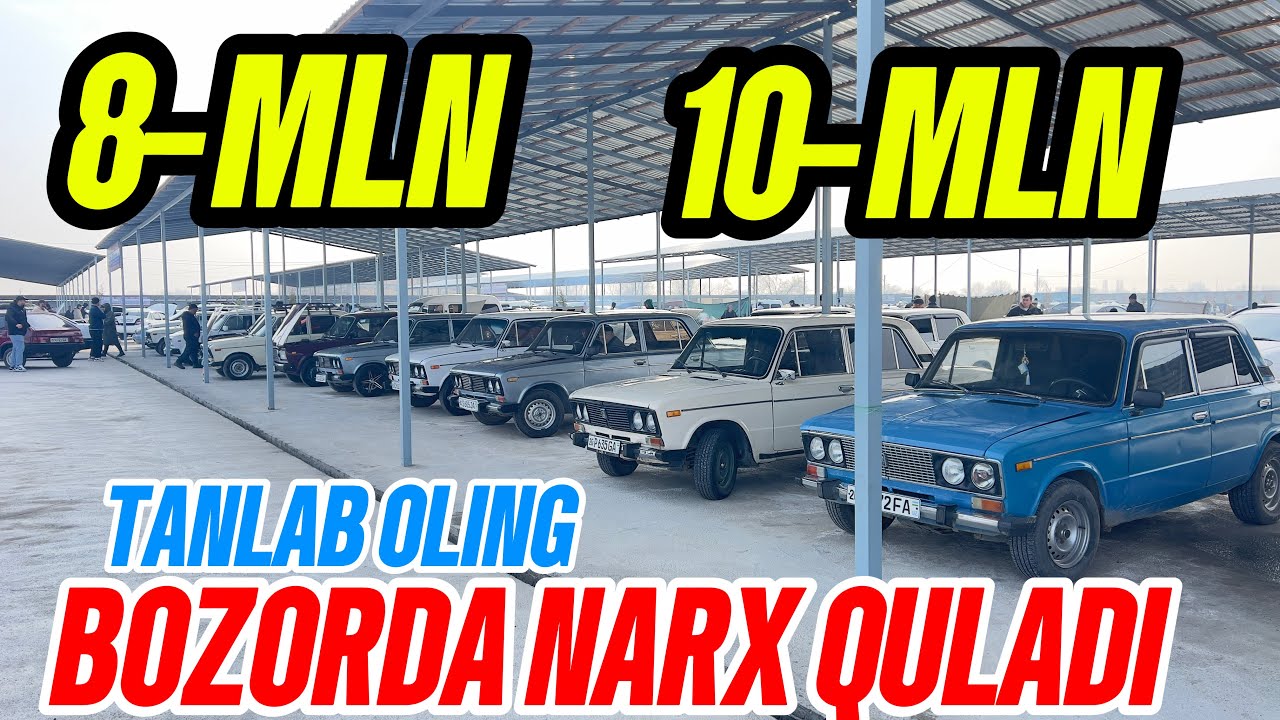 8-MLN TANLAB OLING SIRDARYO MIRZACHÒL MASHINA BOZORI JUGULI NARXLARI