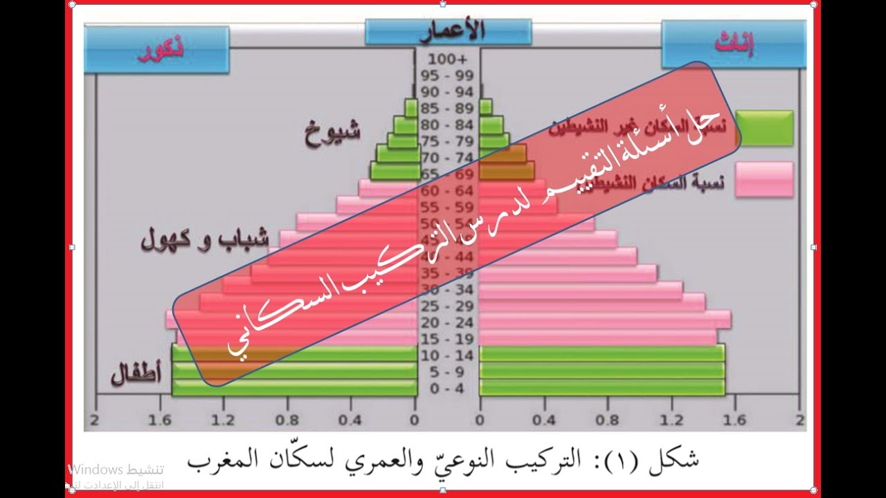 أسئلة درس التركيب السكاني