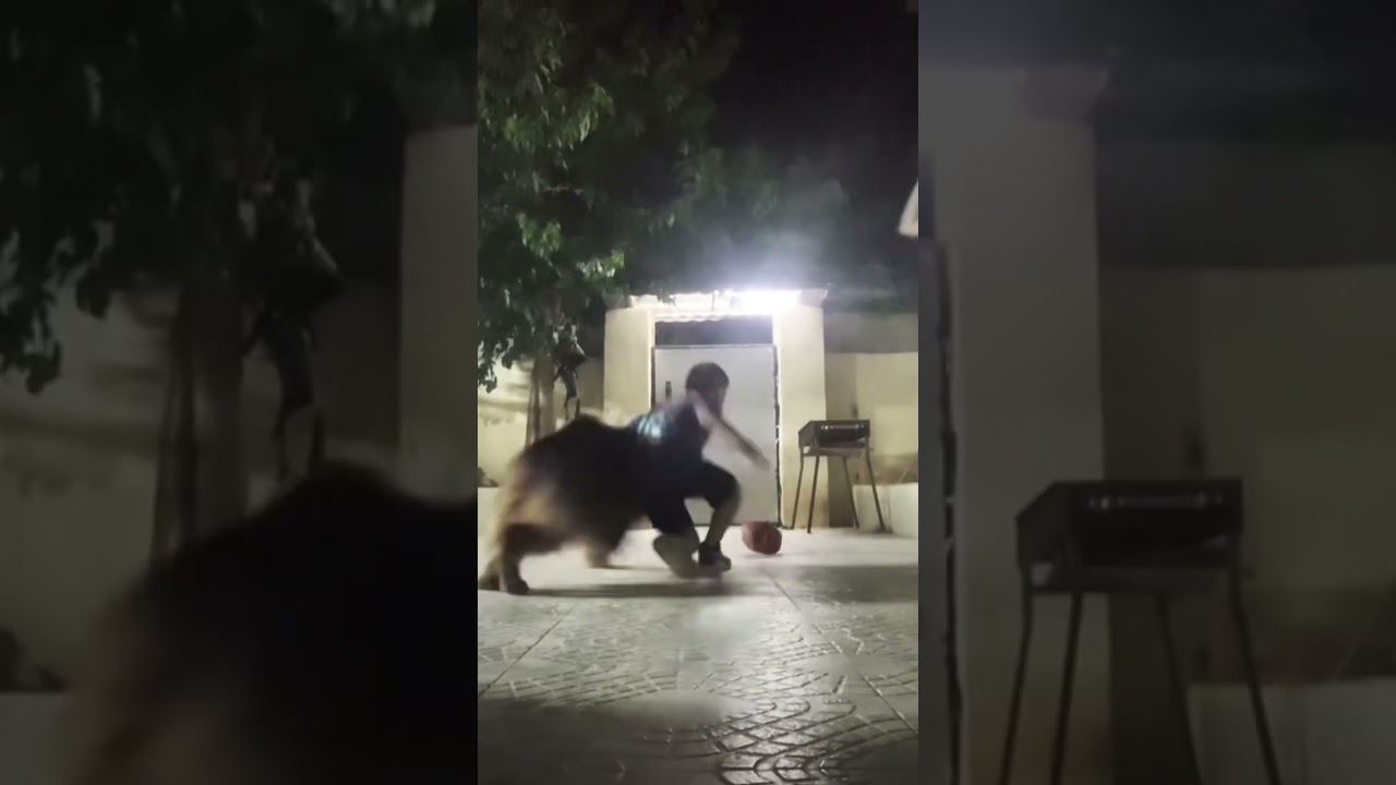 bro thought he could get it #edit #funny #october2019 #nokiafans #nick #minus