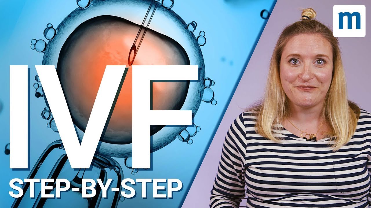 IVF treatment: Step-by-step