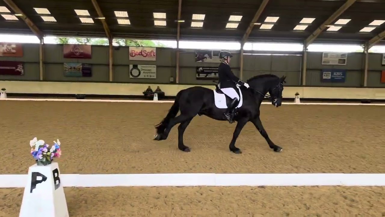 Elementary Freestyle (1st place 76.40%)