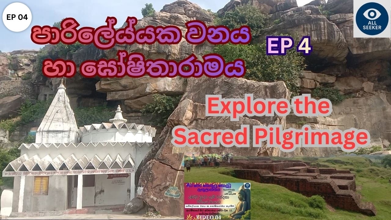 Dambadiva vandana 4 | පාරිලේය්‍යක වනය හා ඝෝෂිතාරාමය නැරබීම | දඹදිව බුද්ධ වන්දනා | Kaushambi