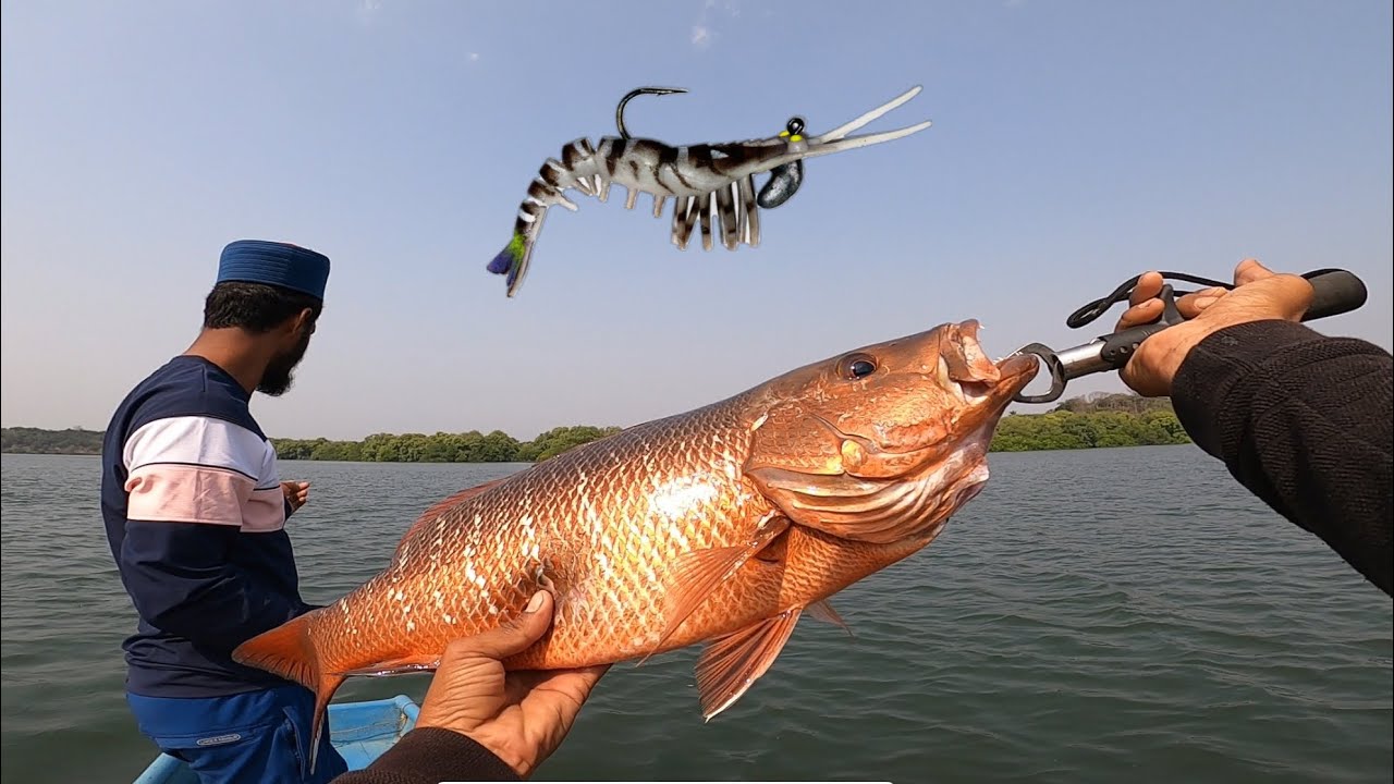 Best artificial shrimp 🦐 with best results || मीले तांबौसे || @bablusolkar