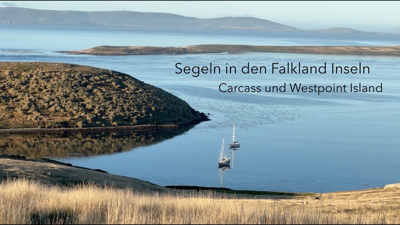 Ep 151: Segeln in den Falkland Inseln - Carcass und Westpoint Island (Sailing Anixi)