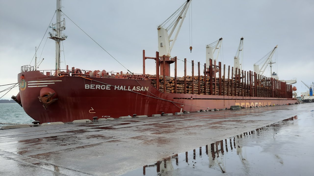 MV BERGE HALLASAN - Loading logs operations