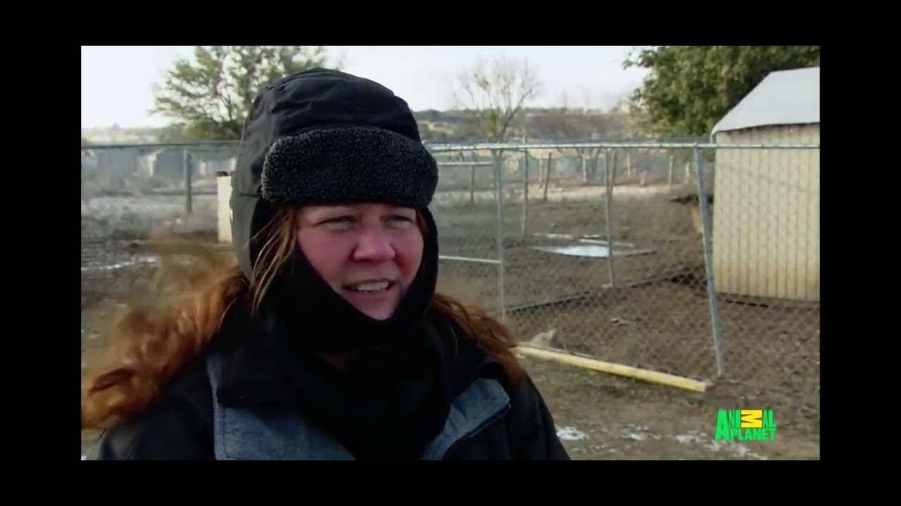 animal cops Houston s9e3￼