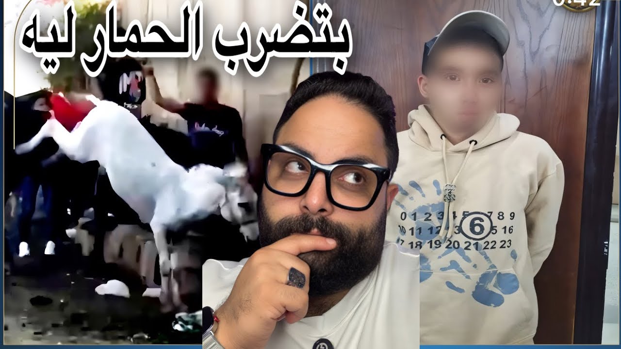 خناقة هبه قطب مع مندوب توصيل 🚚 و سائحه مصرية تطارد شاب بسبب حمار 🫏😱