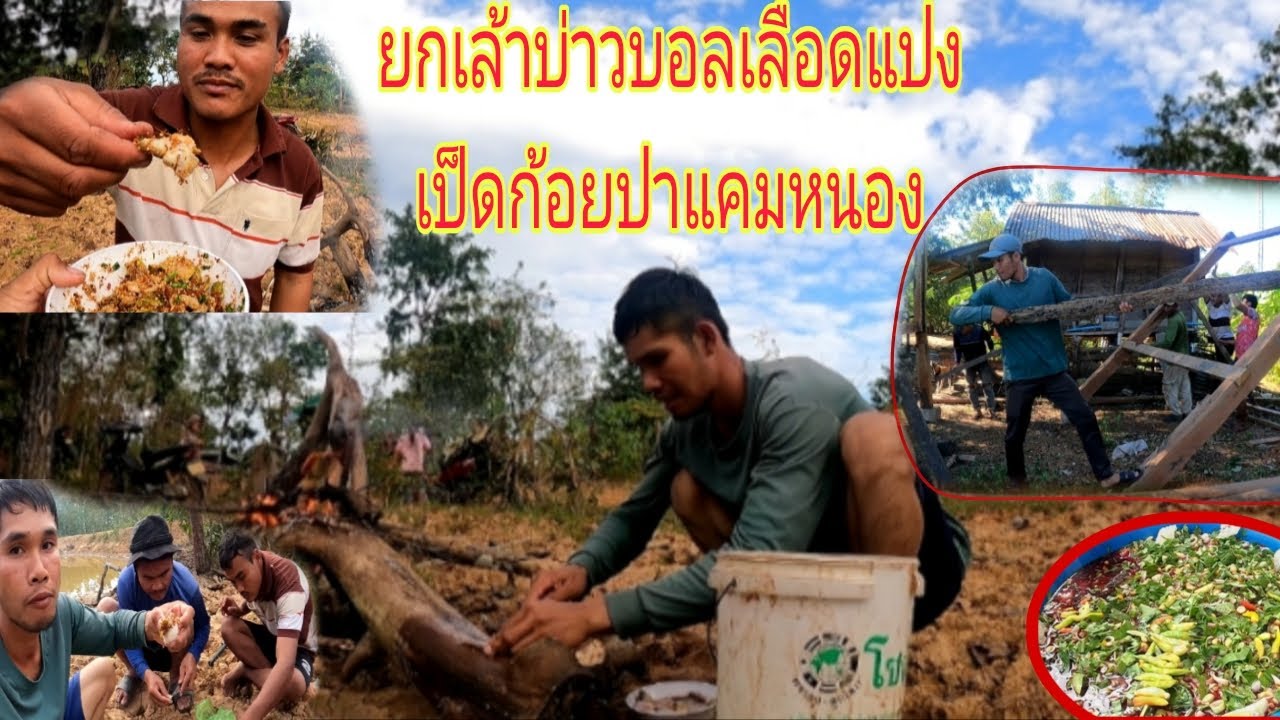 มื้อนี้มาช่อยบ่าวบอลปุกเล้าเข้า  13 ธันวาคม ค.ศ. 2025