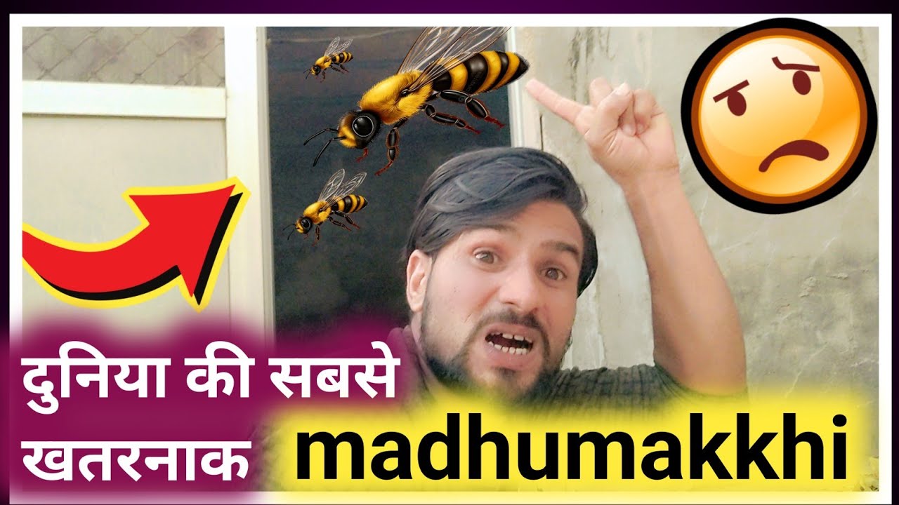 दुनिया की सबसे खतरनाक madhumakkhi 🐝