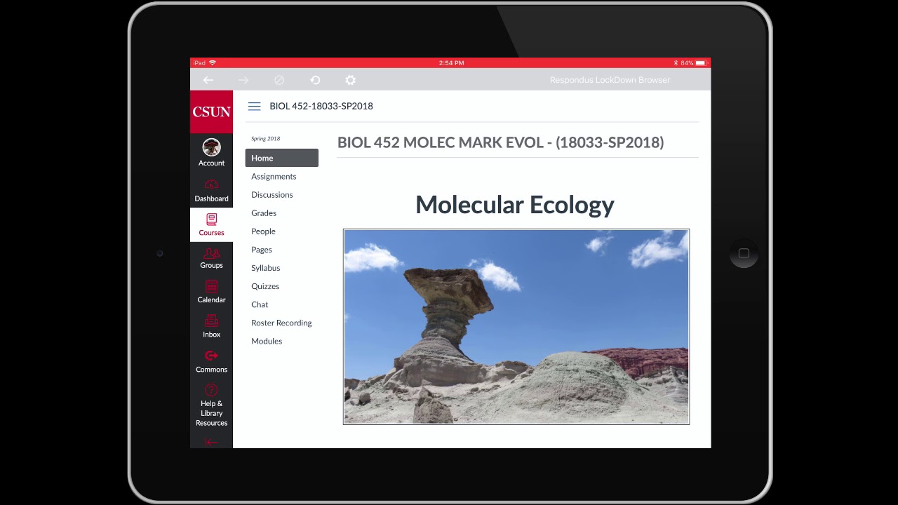Student_Quiz using Respondus