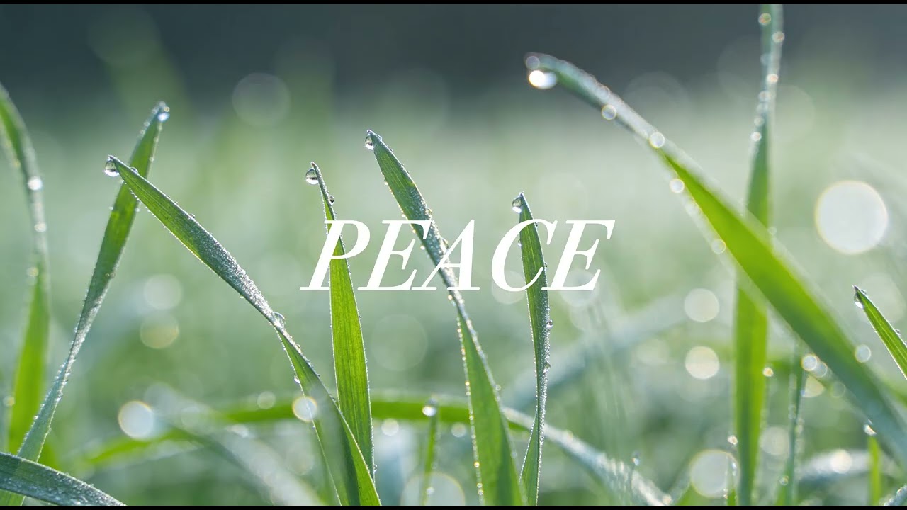 Deep Calm 🌙 Relaxing Music for Stress Relief, Sleep & Inner Peace