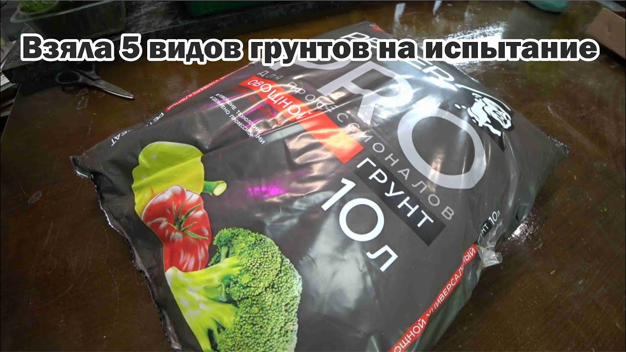 Обзор покупок с маркетплейса: грунты для рассады (5 видов), семена томатов (Китай), семена земляники