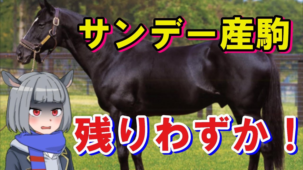 日本競馬史上最も偉大なサンデー産駒もう残り僅か・・。