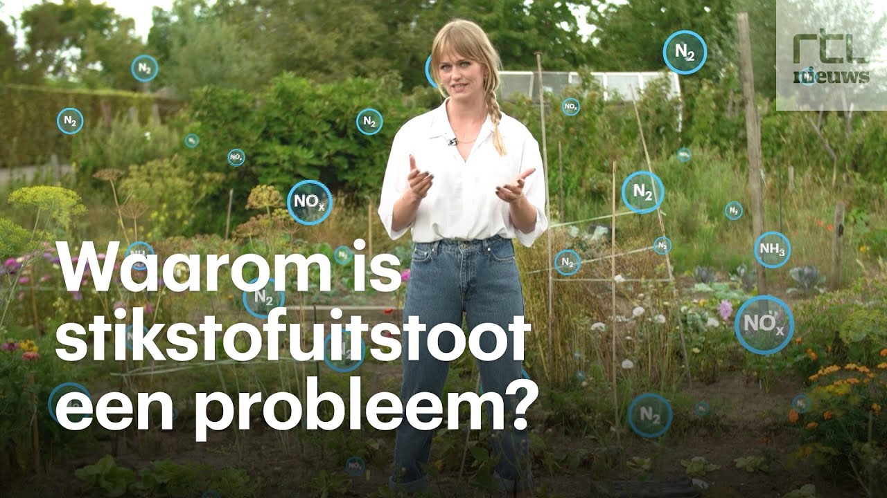 Dit is het stikstofprobleem in 1 minuut
