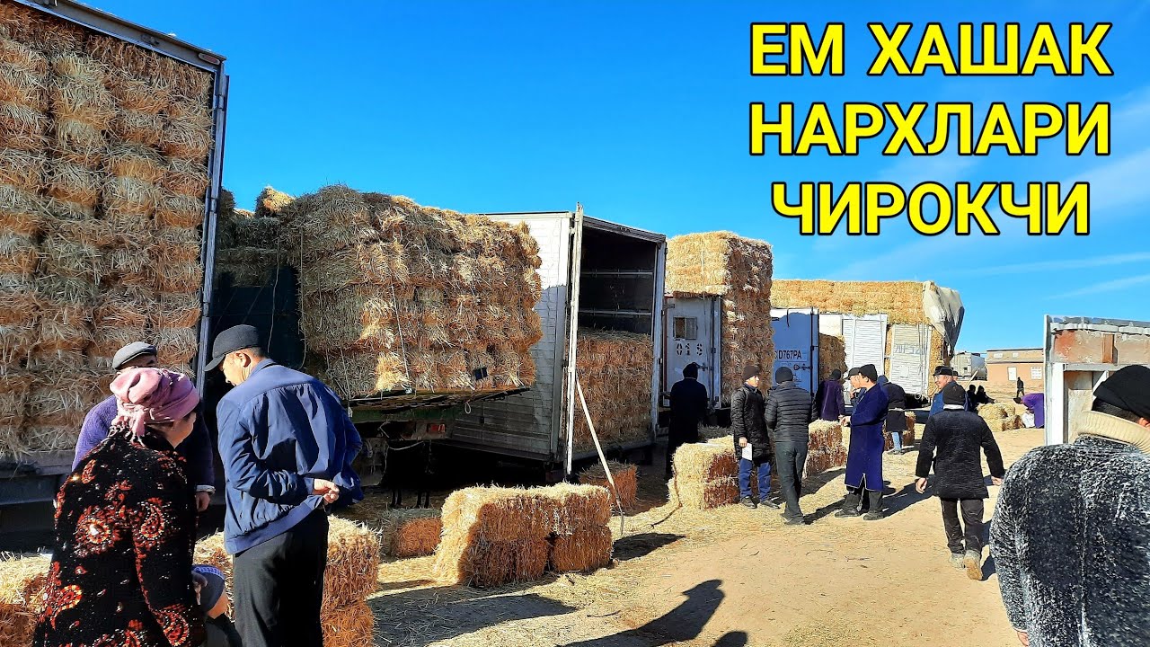 ЧИРОКЧИ СОМОН БЕДА ПРЕСС ЕМ ХАШАК НАРХЛАРИ