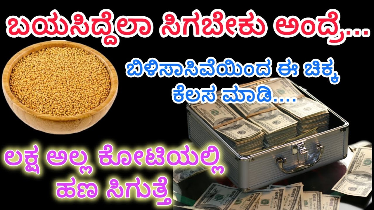 ಬಿಳಿ ಸಾಸಿವೆಯಿಂದ ಕಷ್ಟಕ್ಕೆಲ್ಲ ಮುಕ್ತಿಸಿಗುತ್ತದೆ, ಒಮ್ಮೆ ಈ ಉಪಾಯ ಮಾಡಿ ನೋಡಿ..ಹಣ ನಿಮ್ಮನ್ನು ಹುಡುಕಿ ಬರುವುದು...