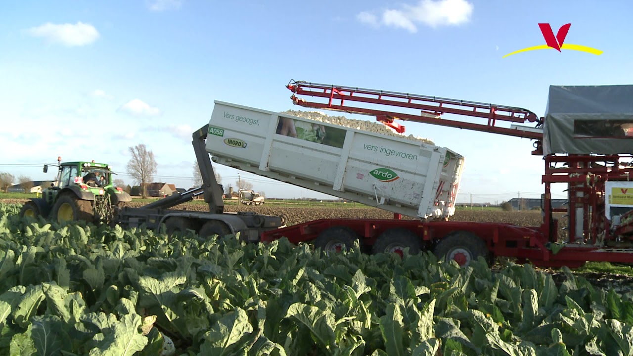Bloemkoolrooier met container