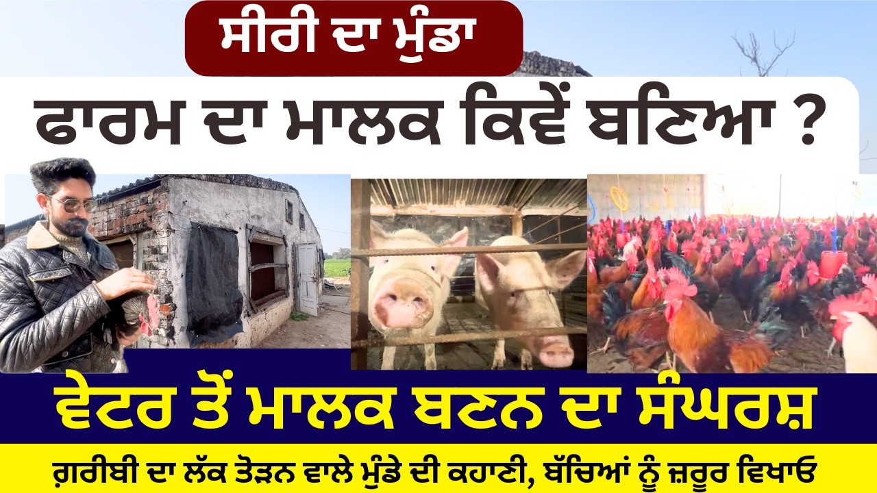 ਸੀਰੀ ਦਾ ਮੁੰਡਾ ਫਾਰਮ ਦਾ ਮਾਲਕ ਕਿਵੇ ਬਣਿਆ ? ਗਰੀਬੀ ਦਾ ਲੱਕ ਤੋੜਨ ਵਾਲੇ ਮੁੰਡੇ ਦੀ ਕਹਾਣੀ #punjabi #punjab#story
