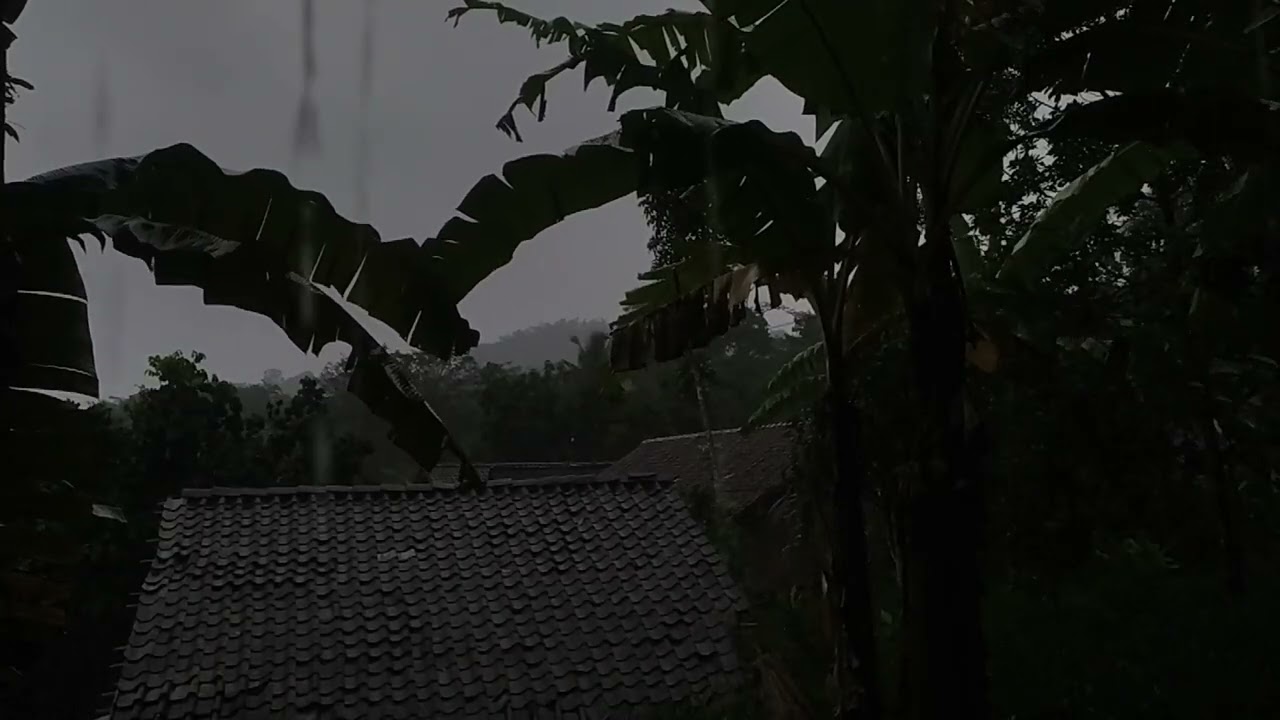 ASMR Rain on Village House Roof 🌧️ Natural Rain Sounds for Deep Sleep