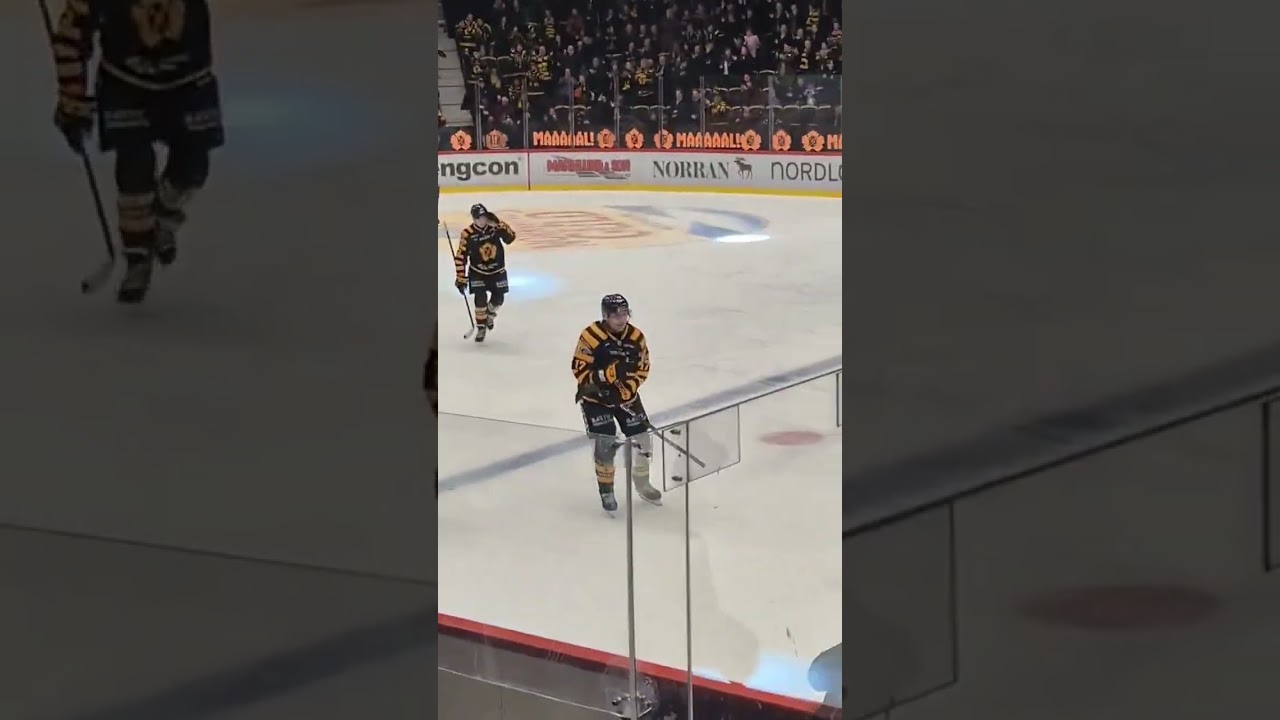 Pär Lindholm firar mål (Skellefteå AIK mot Växjö Lakers HC i SHL i Sverige) (