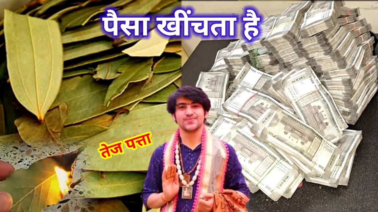 तेज पत्ता का ये उपाय रातों-रात बना देगा आपको करोड़पति मालामाल..#Bageshwardham_sarkar