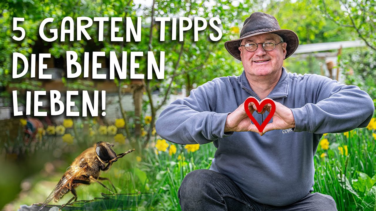 So kannst du deinen Garten & Balkon bienenfreundlich gestalten! 🐝