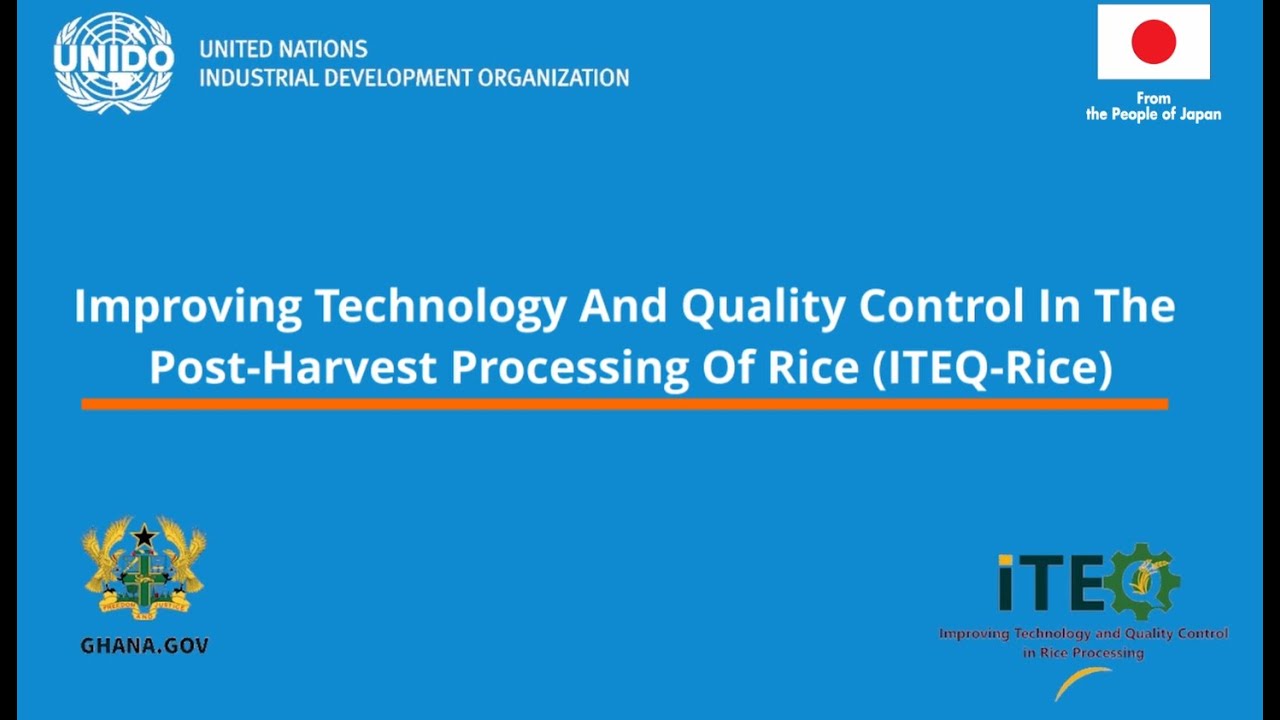 From Innovation to Impact: The UNIDO ITEQ Project in Ghana’s Rice Sector