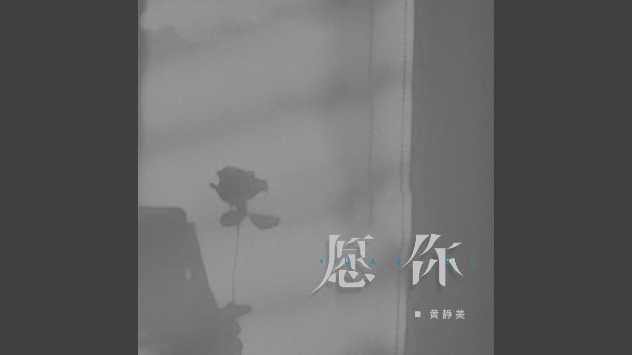 愿你 (DJ版)