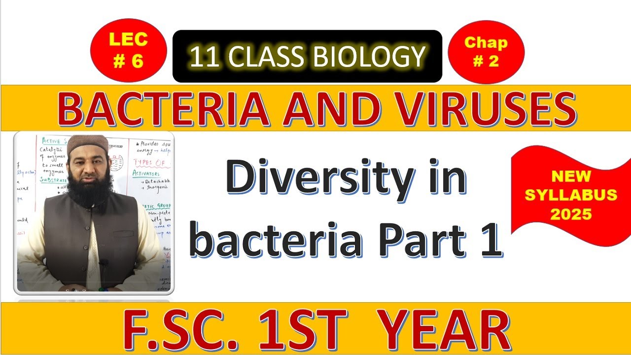 Diversity in bacteria | BACTERIA AND VIRUSES | Chapter 2| F.Sc. 1st Year Biology | L# 6