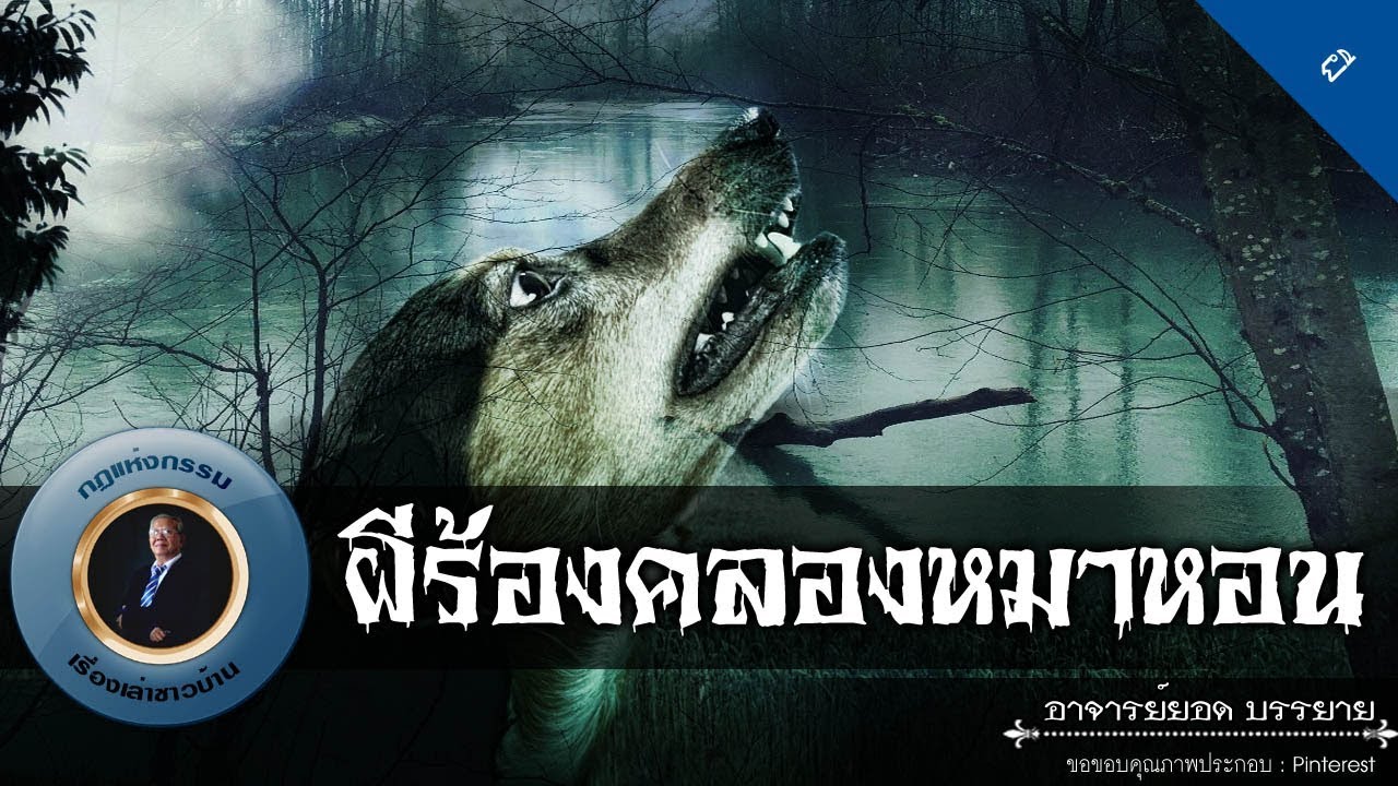อาจารย์ยอด : ผีร้องคลองหมาหอน [ผี] new