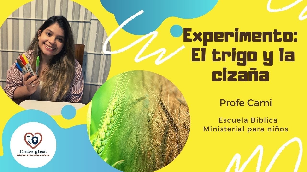 El trigo y la cizaña - Experimento- Ministerio de niños C&L