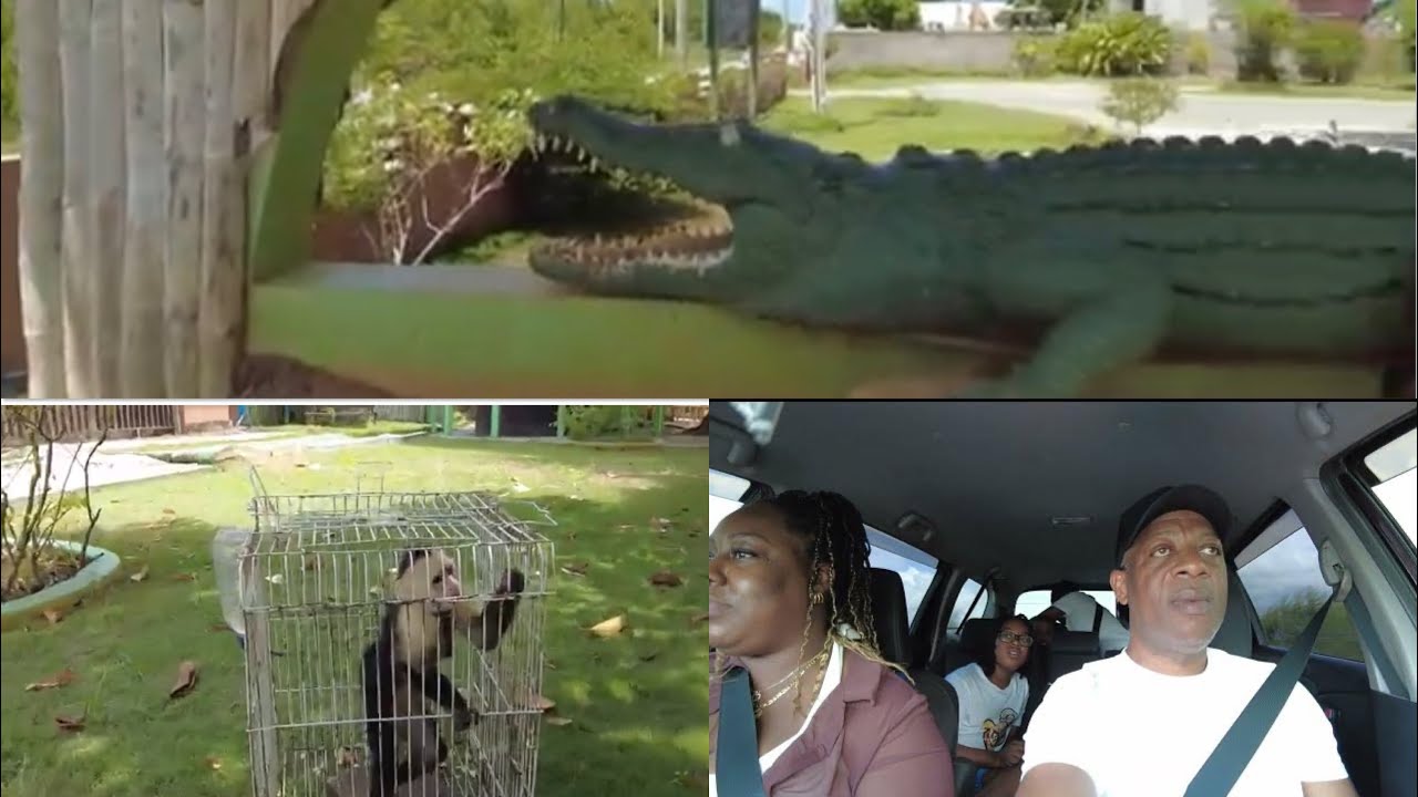 SURPRISE MY FAMILY ON A TRIP TO THE SWAMP SAFARI AND THIS HAPPENS TO US