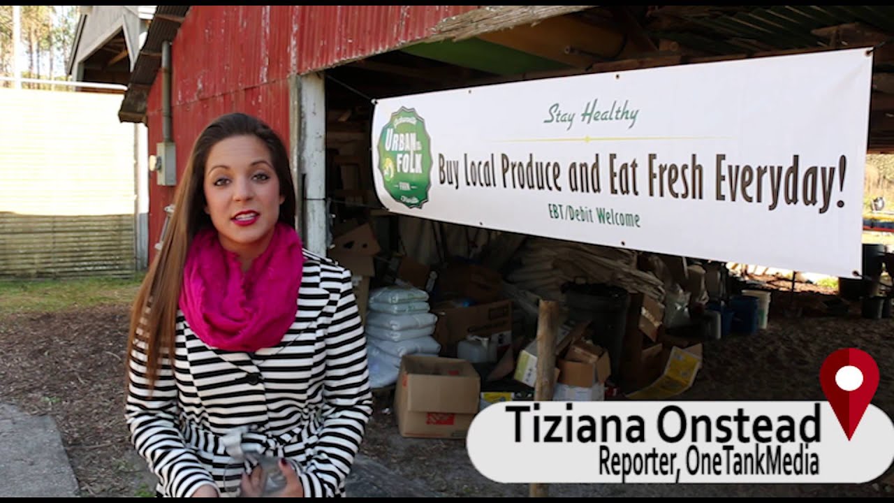 Farm-to-table: Urban Folk Farm