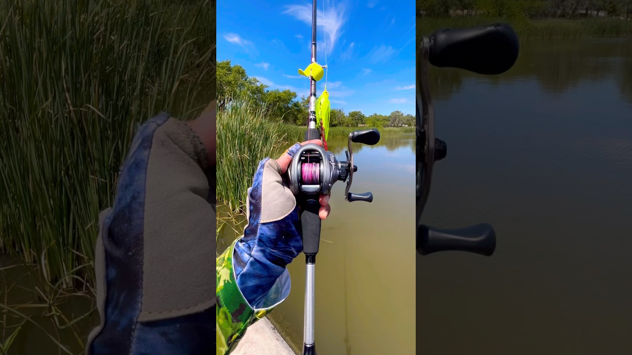 Tips casting A Buzzbait for Bass#fishing#shortsvideo#shortvideo#shorts#short#viral#viralvideo#tips