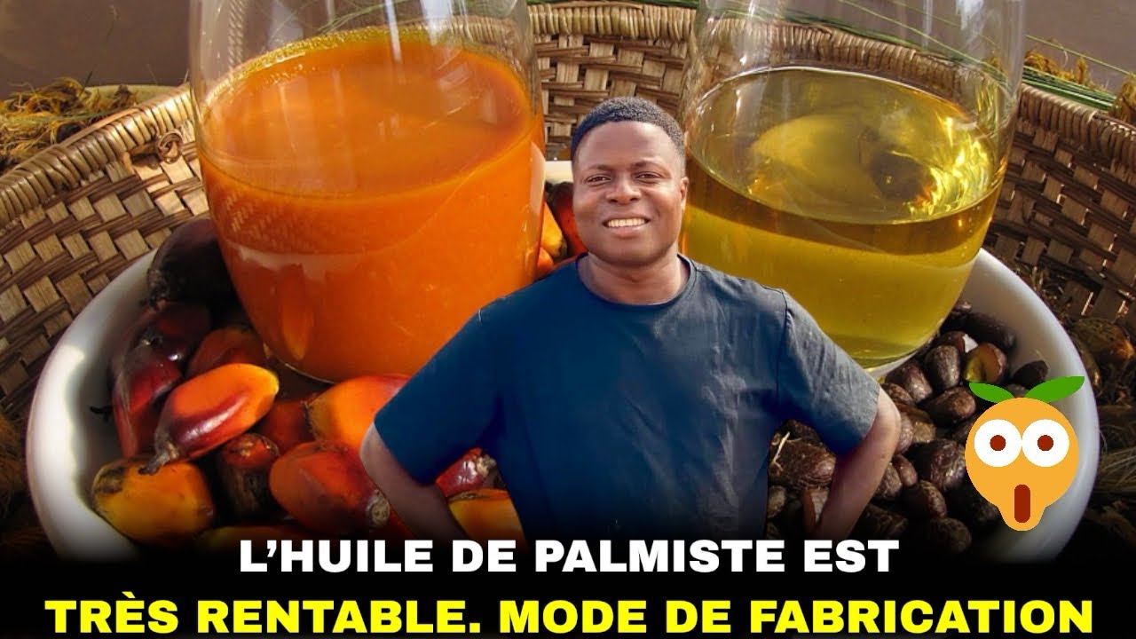 L’huile de de palmiste est très rentable, découvrons son élaboration.
