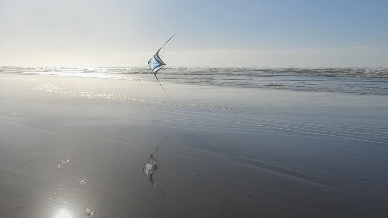 Gaze on the Shore (stunt kite)