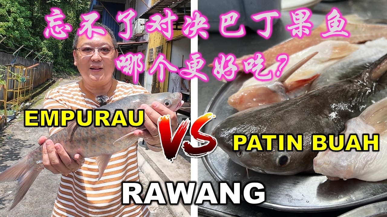 Empurau VS Patin Buah. Which is tastier? | 忘不了对决巴丁果鱼 - 哪个更好吃? | VILLAGE RESTAURANT  家乡小馆 | RAWANG